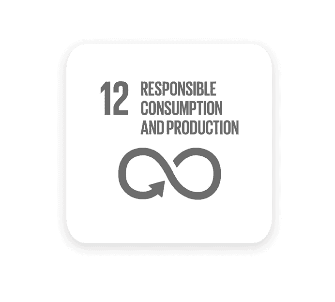UN sustainable goal 12