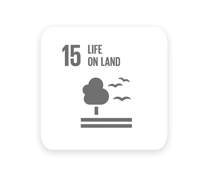 UN sustainable goal 15