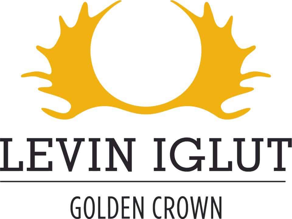 Levin Iglut logo